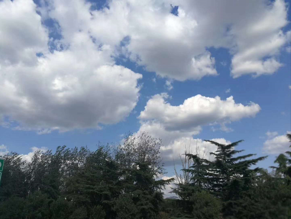 ΰ��BETVLCTOR��ҳ����̬ũ�������´���