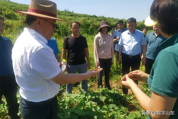 ÐÂÎÅ7 ÐÂÎÅ7.jpg