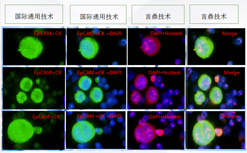 1b7fcac86bb1448882def62dc3efe665_noop 1b7fcac86bb1448882def62dc3efe665_noop.png