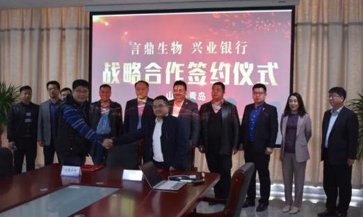 �������� ʵ�ֹ�Ӯ���������ൺΰ��BETVLCTOR��ҳ����������ҵ��������֧��ǩ��ս�Ժ���Э��