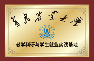 bevictorΰ�¹��� - Τ�¹ٷ���վ