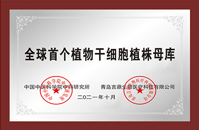 bevictorΰ�¹��� - Τ�¹ٷ���վ