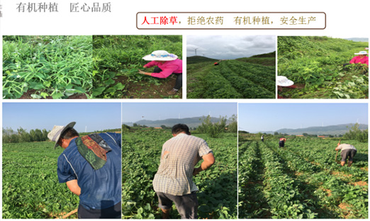 ��ɽ��ΰ��BETVLCTOR��ҳ����Ȫũҵ�Ƽ����޹�˾���������ٻ�ɽ��ʡ�����ִ�ũҵ�Ƽ���ģ����