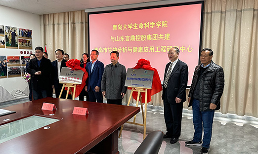 ΰ��BETVLCTOR��ҳ�漯���Ž��ൺ��ѧ������ѧѧԺ�������ൺ�����������뿵��Ӧ�ù����о����ġ�