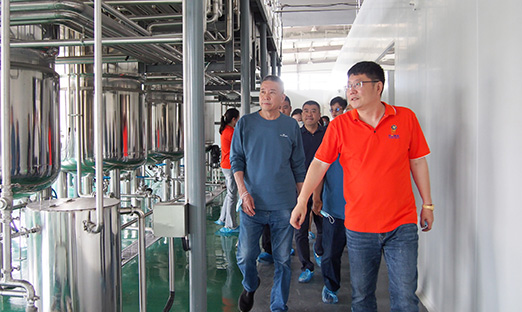 ΰ��BETVLCTOR��ҳ��ֲ�����Ը�ϸ�����ս�Ϊ��ī�ƾƹ�ҵ����