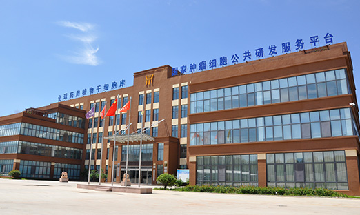 ΰ��BETVLCTOR��ҳ���Ѷ|��ʽ����������ҩʳͬԴչ������Ǳ��