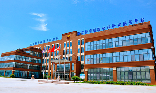 ϲ����ΰ��BETVLCTOR��ҳ������ǣͷ��Ŀ�����Ƽ��������ص��з������ص�ר��