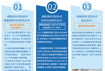 ΰ��BETVLCTOR��ҳ�潹�����պ������