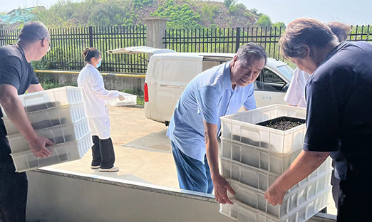 ���˹�����ҵ��ΰ��BETVLCTOR��ҳ�����������ʽת�����