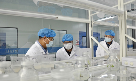 �������Ｏ����ϯ��ѧ��������һ�е���ΰ��BETVLCTOR��ҳ�漯�������̺����»�Ե