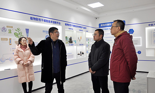 �ൺ���ϼ�����ΰ��BETVLCTOR��ҳ�漯����Ⱥ�����������쿵����������