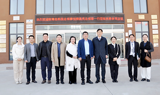 ����פ�ൺ�����¹�������������Я����ݰ��ΰ��BETVLCTOR��ҳ�漯�����п���